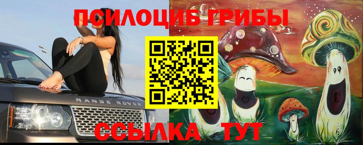 Коломна  Галлюциногенные грибы Psilocybine cubensis  Вход с VPN 